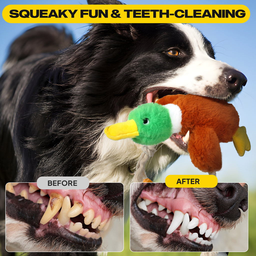 FIDA Plush Squeaky Duck Dog Rope Toy
