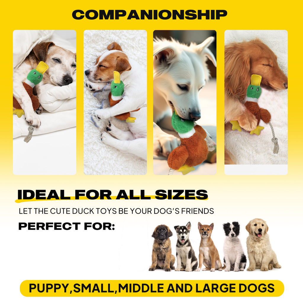 FIDA Plush Squeaky Duck Dog Rope Toy